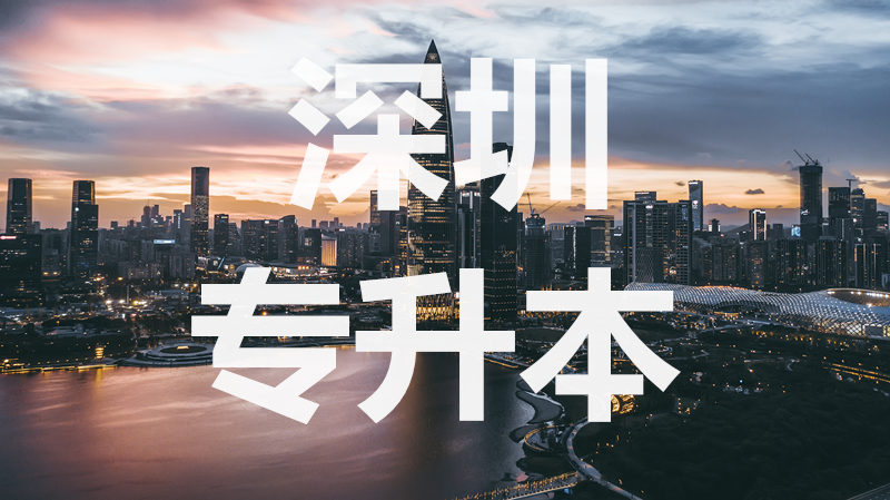 深圳湾_副本.jpg